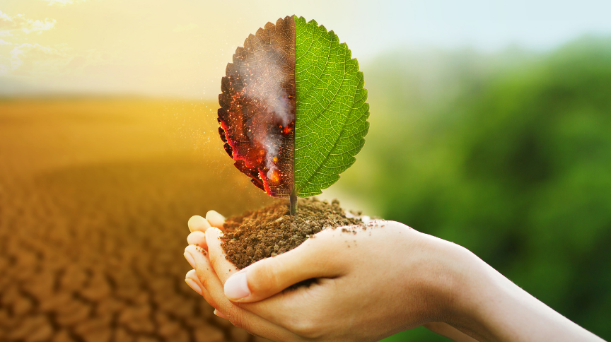 What impact can coaching have on climate action and change?